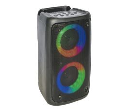 Party Light and Sound LEO-250 Active Speaker Box